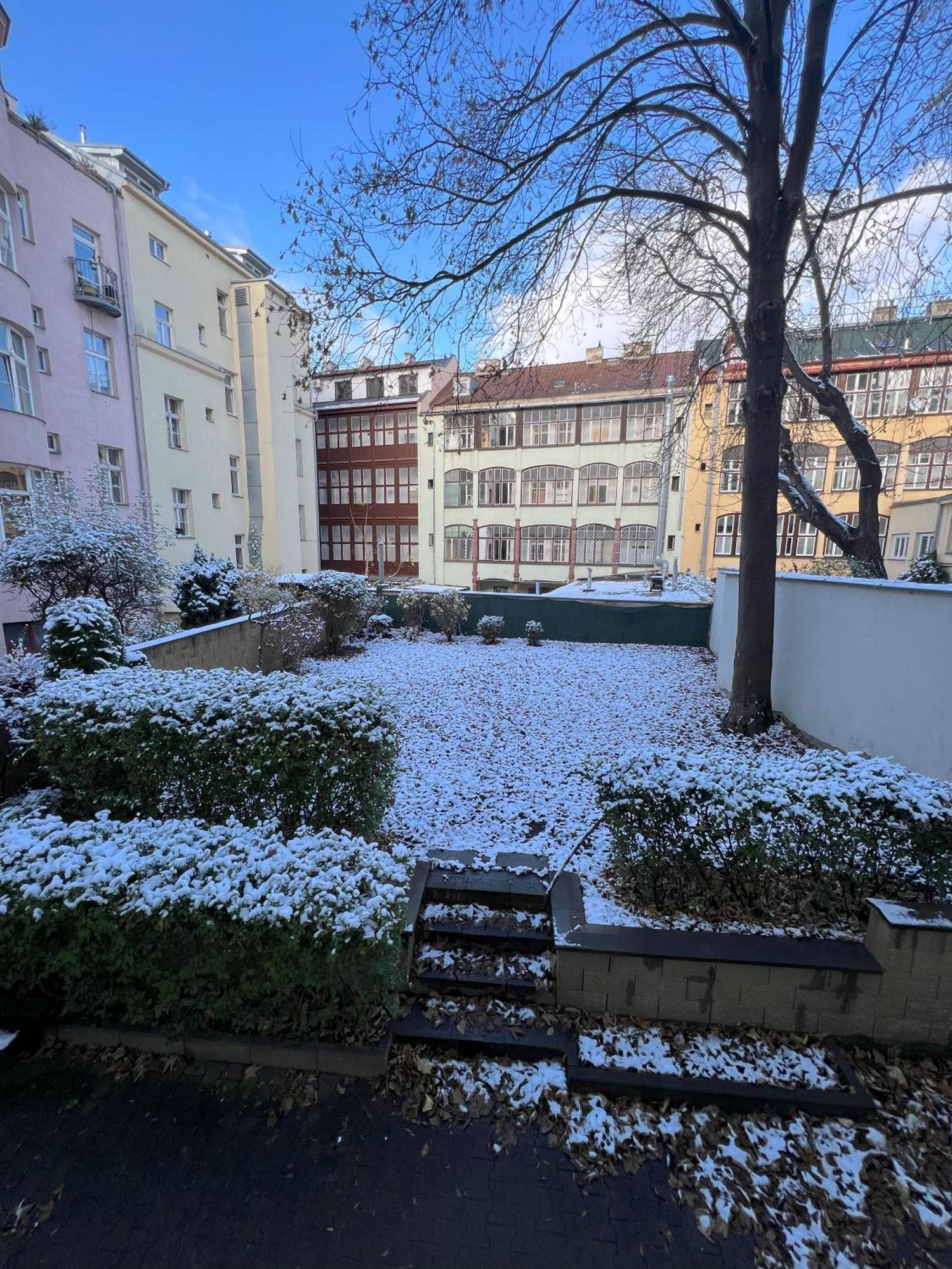 Cozy Garden Apartment In The Heart Of Прага Екстериор снимка